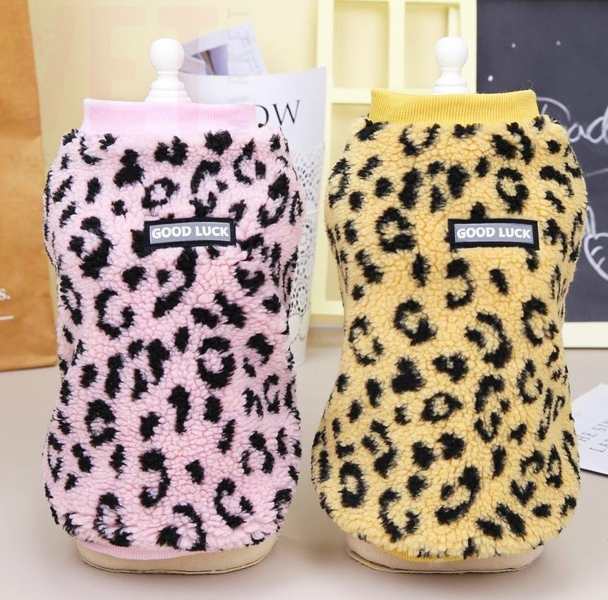 ����� 100-64 good luck leopard. ����