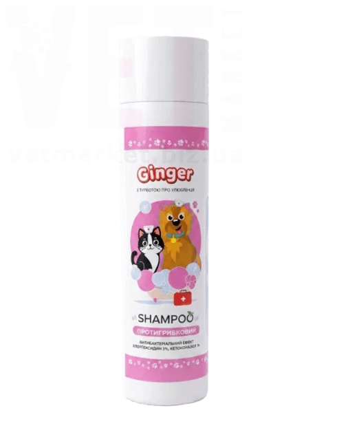 �������� Ginger Healthy ������� ����������������, 250 ��. ��������