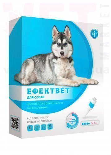 �����/��������� ����� ������������������� ��� �����, 1 ���.*1 ��, ���������. ����� / ����� � �����������