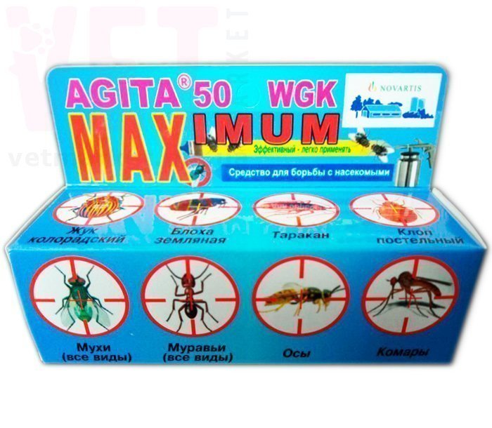 �����, 50 �, ��������. ������ ������� �� ����� �� ��������