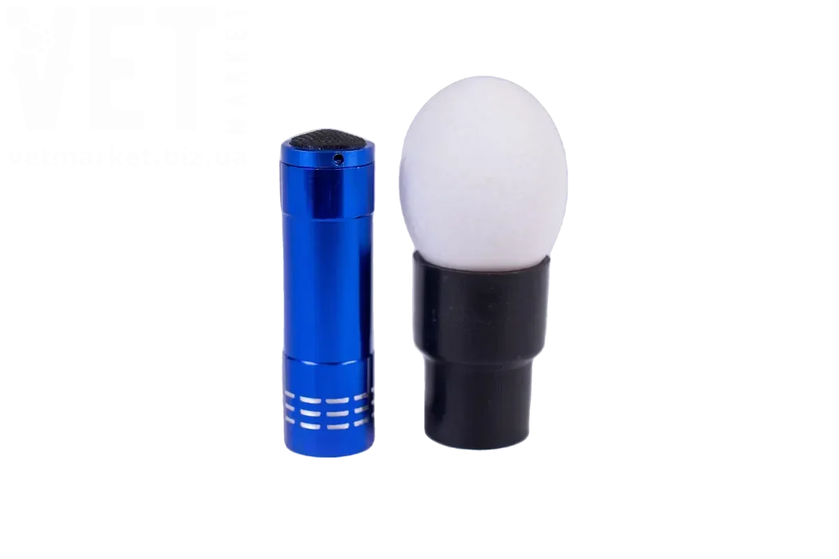 �������-������� (��� ��������). ���������� �� ������������ �� ����������