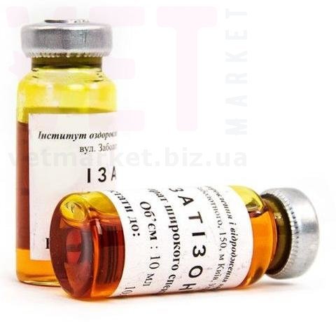 �����/��������, 10 ��. ����� / ����� � �����������