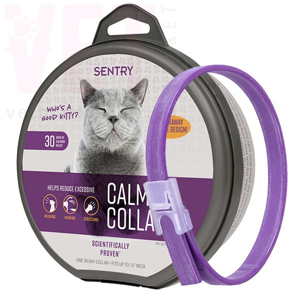 ������ Sentry ������� � ���������� ��� �����, 38 ��. �����������, ���������, �����������