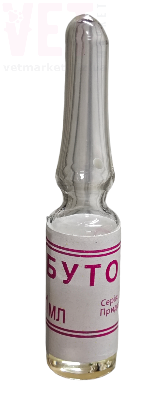 ������, 1 ��, ����������. ��� �/� �������� � ����