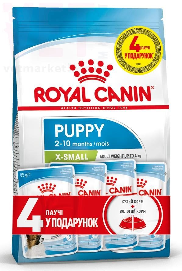 ���� ����� X-Small Puppy, 1,5 �� + 4 �����. X-Small (�� 4 ��)