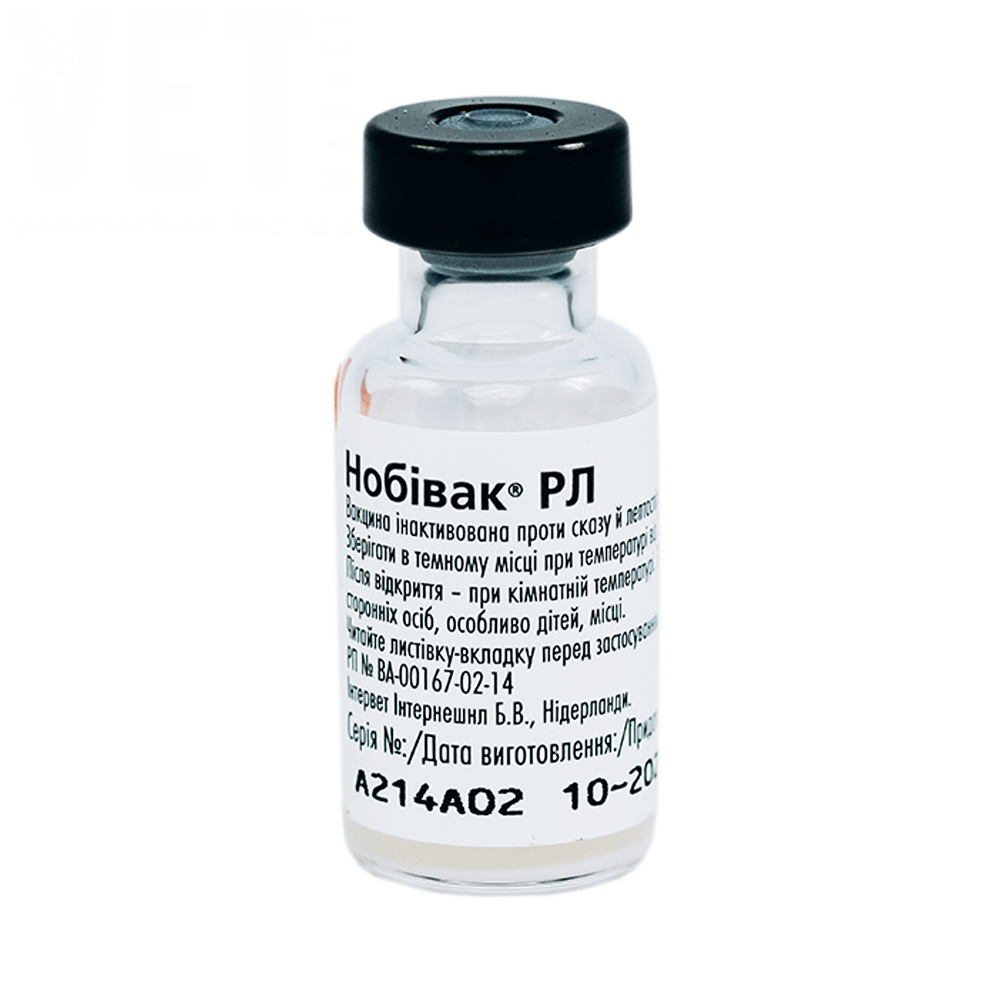 ������� ������+�����, MSD. �������, ���������