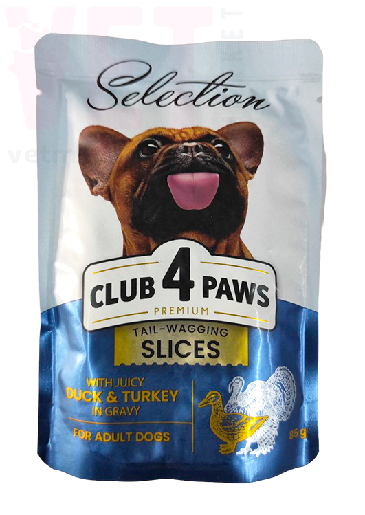 ���� 4 ���� ������� ��� ����� ���� � ��������, 85 �. ��� �����