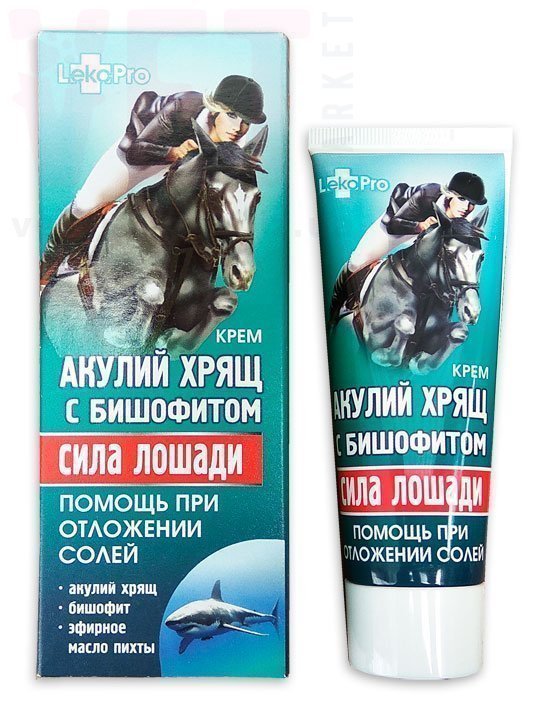 ���� ������ ���� ������ ���� � ���������, 75 ��, �������. ������-������������ �������