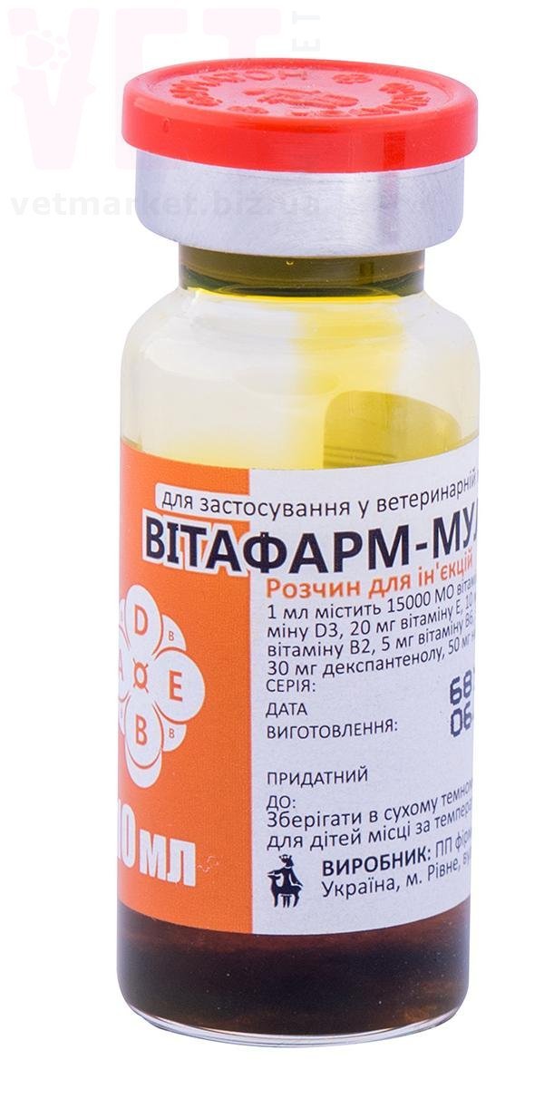 �������� ������ (���+������ �), 10 ��, ��������. ��� �������������������� ������