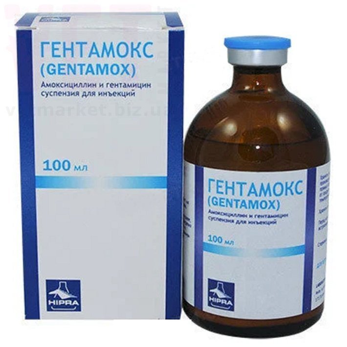 ���������, 100 ��, Hipra. ������������� � ����������������� ���������