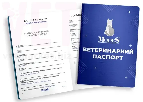 ������������ �������, Modes. ����