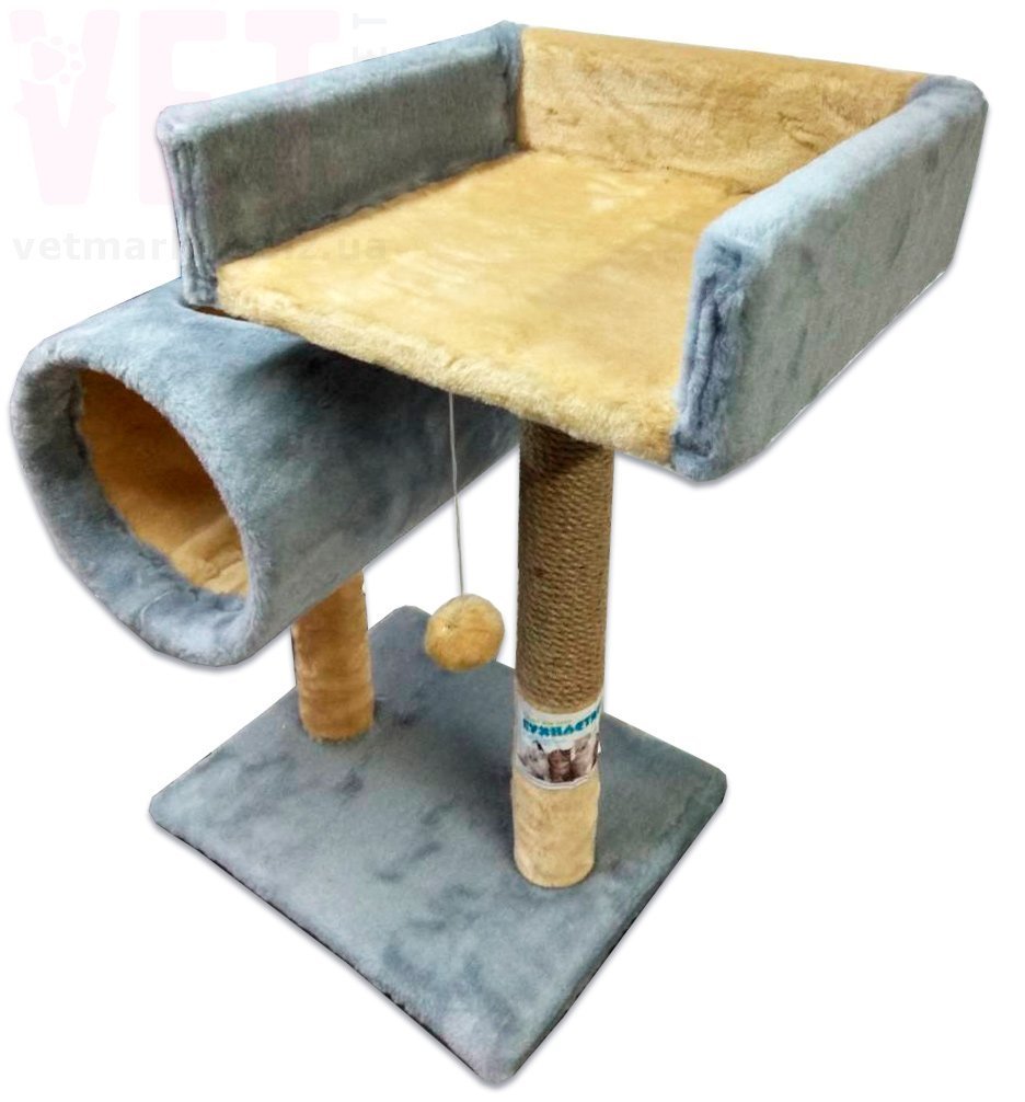 ���������� ��������� � ������� � ��������, ����-�������, 56*38 ��. ������