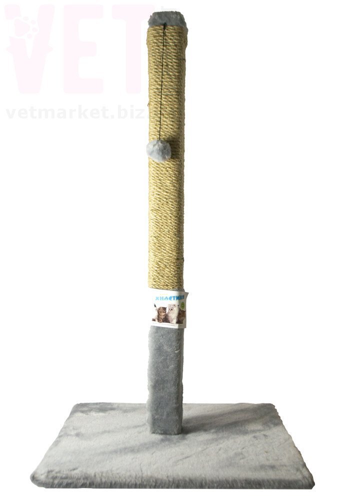 ���������� ��������� ������� �������, �����, 80*45 ��. ʳ�������