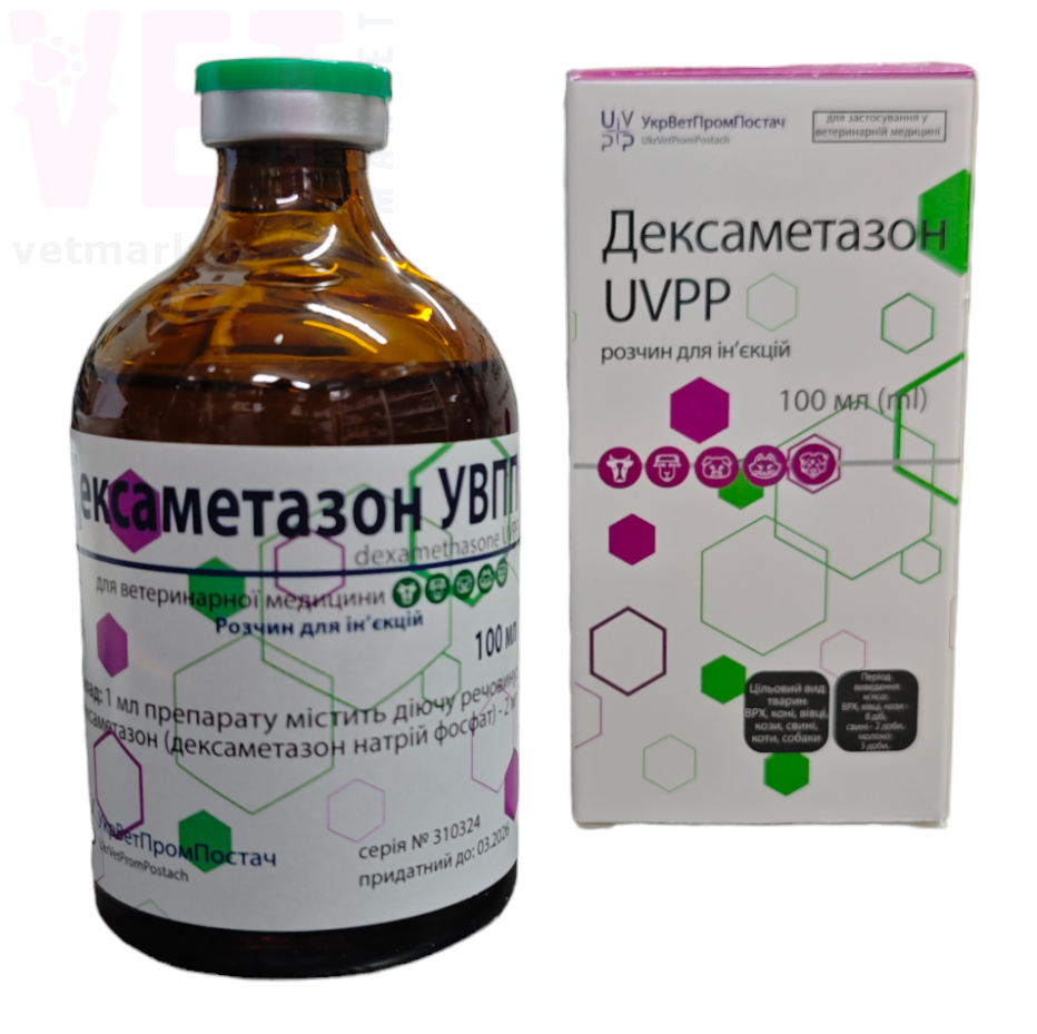 ������������, 100 ��, ����������������. ������������ ���������