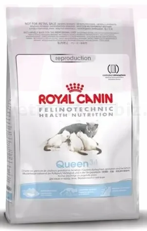 ���� ����� Queen, 4 ��. GROWTH