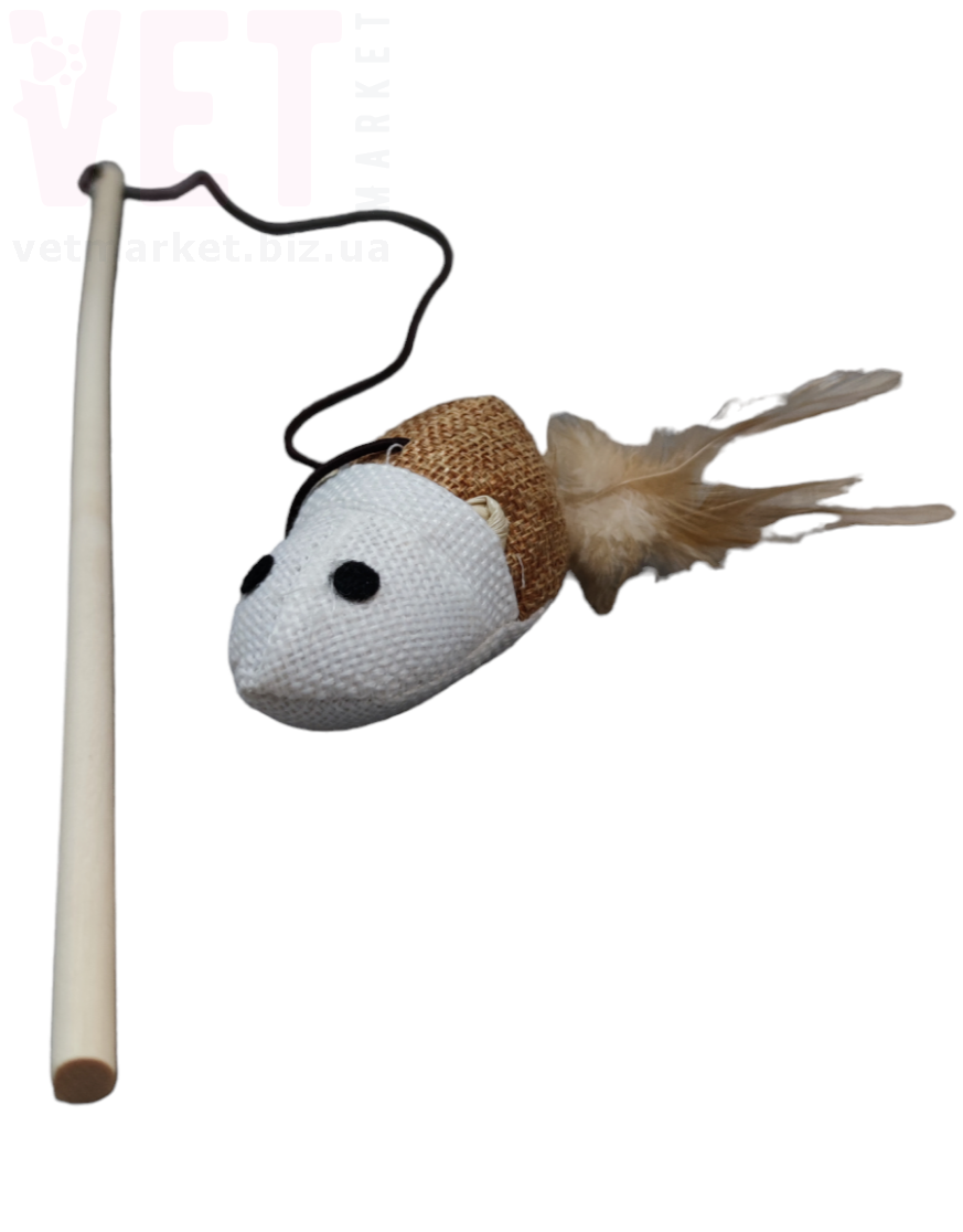 ������� 231-1 ���������� ������ � ������. ������� ��� �����