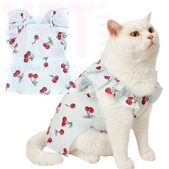 ������ 100-91 �����. ˳��