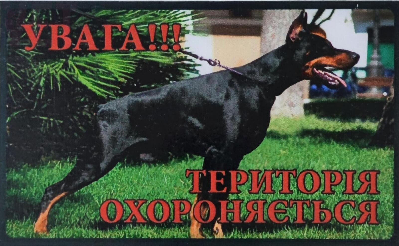 �����!!!�������i� ������������ (��������). �������� ������� �� ������