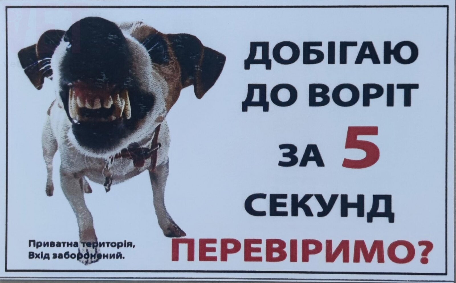 ������ �� ���� �� 5 ������. ���������?. �������� ������� �� ������