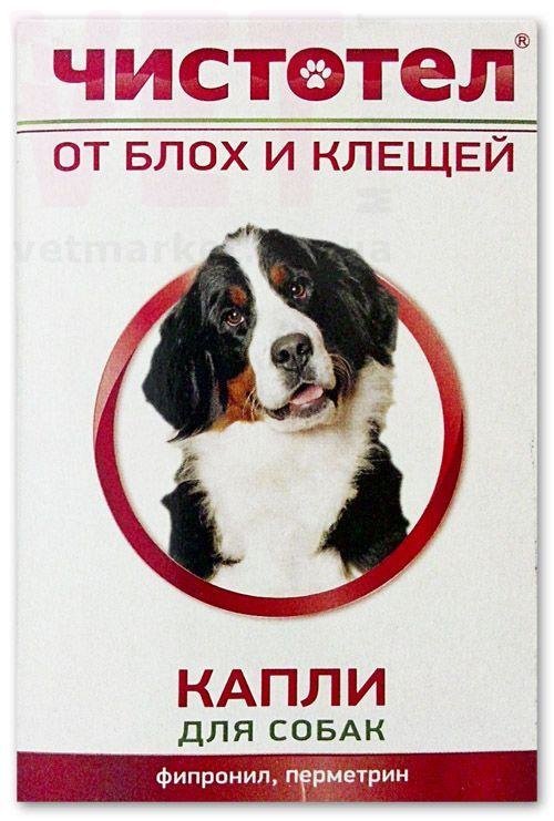 �����/�������� ����� �� ���� � ������ ��� �����, 4 ���., �������. ����� / ����� � �����������