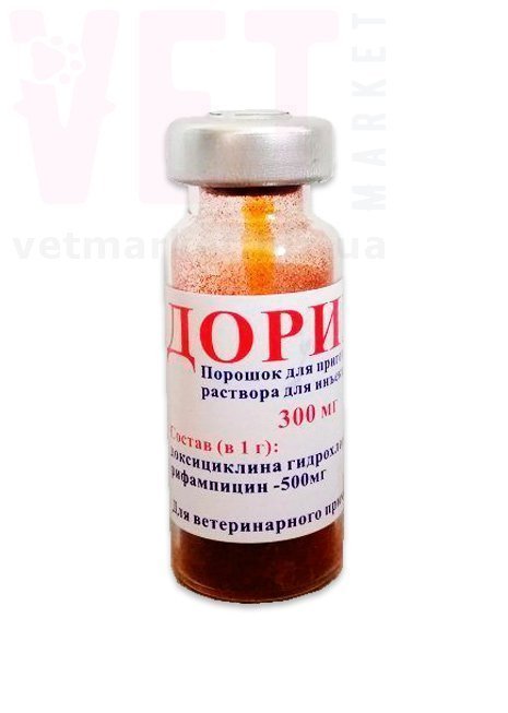 �����/�����, 10 �� (300 ��). ����� / ����� � �����������