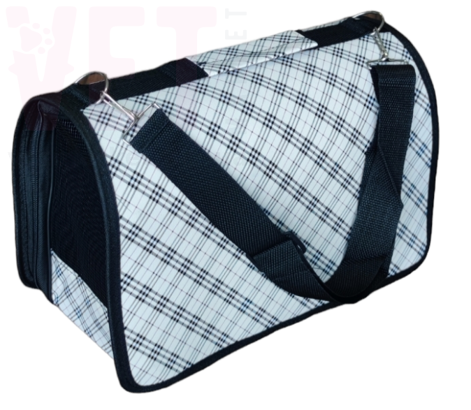 �����-��������� ������ �����. �����