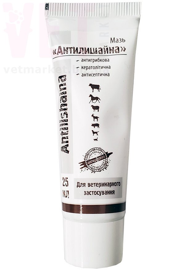 ���� ��������������, 25 ��, ����. ����, �����, ����