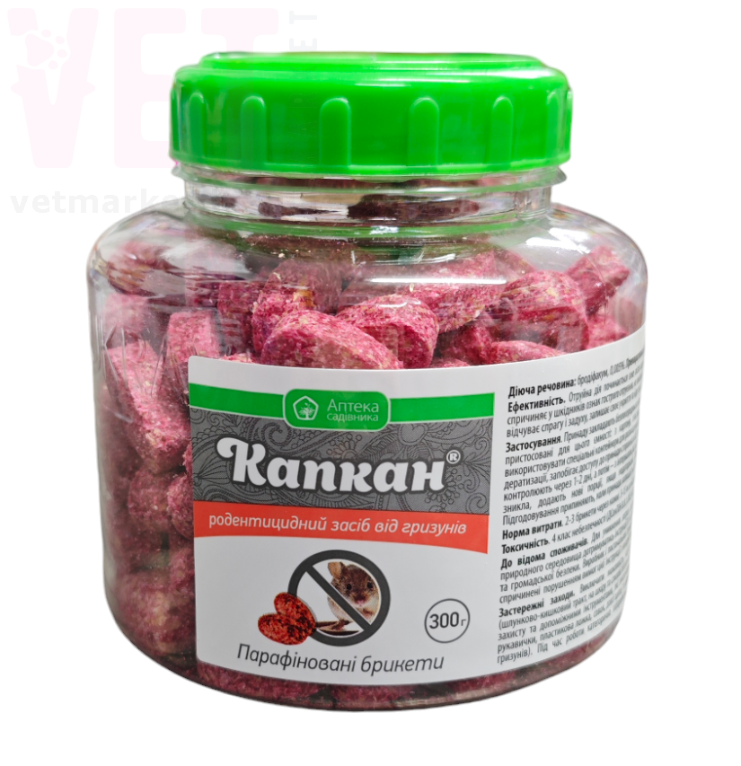 ������ ���������������� �������, 300 �. ������ ������� �� ����� �� ��������