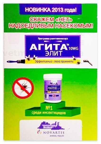 ����� ����, 10 �, ��������. ������ ������� �� ����� �� ��������