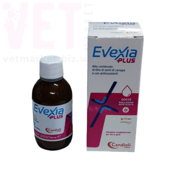 ������� ����, 40 ��, Candioli. �����������, ���������, �����������