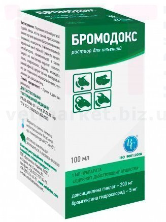 ���������, 100 ��, ���������. �����������