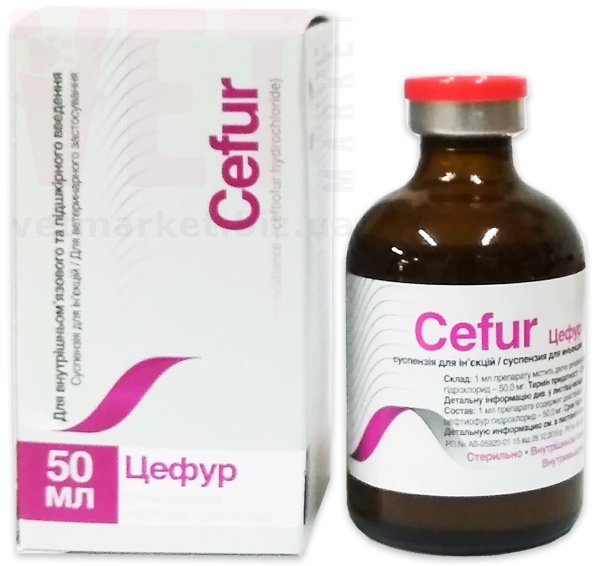 �����, 50 ��, O.L.KAR. (�����). �����������