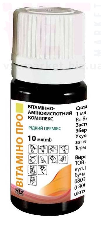 �������� ���, 10 ��, ����������. ��� ����