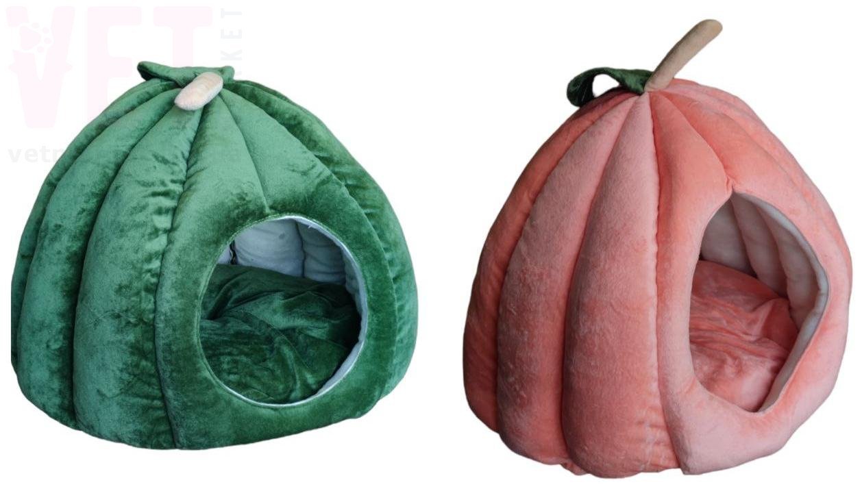 ����� �������. ���������