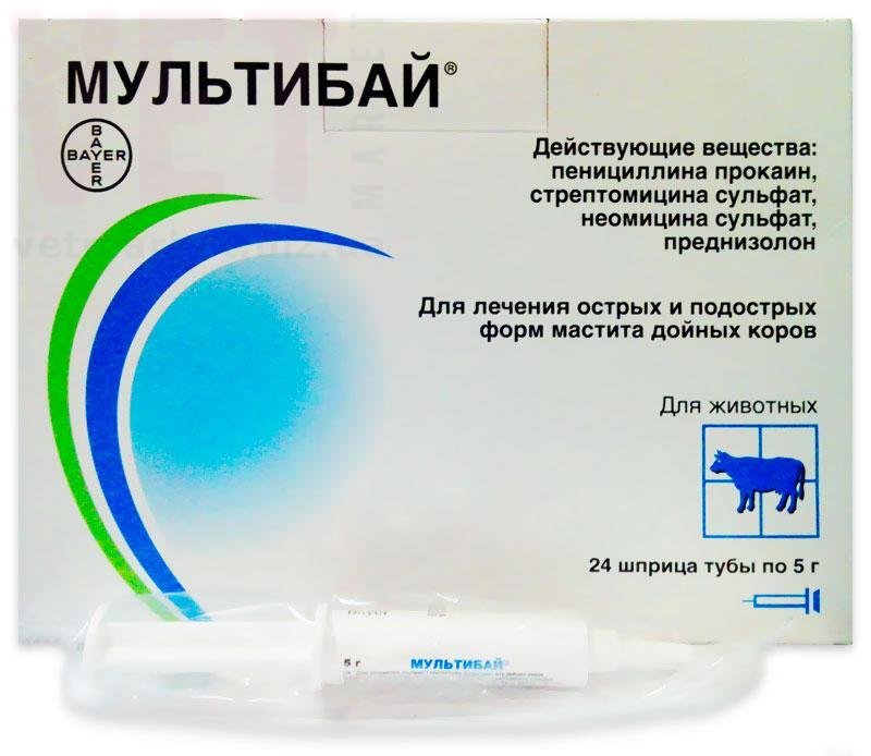 �����/��������� �����, 5 �, Bayer (�����). ����� / ����� � �����������