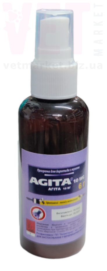 ����� �����, 6 �, ����������. ������ ������� �� ����� �� ��������