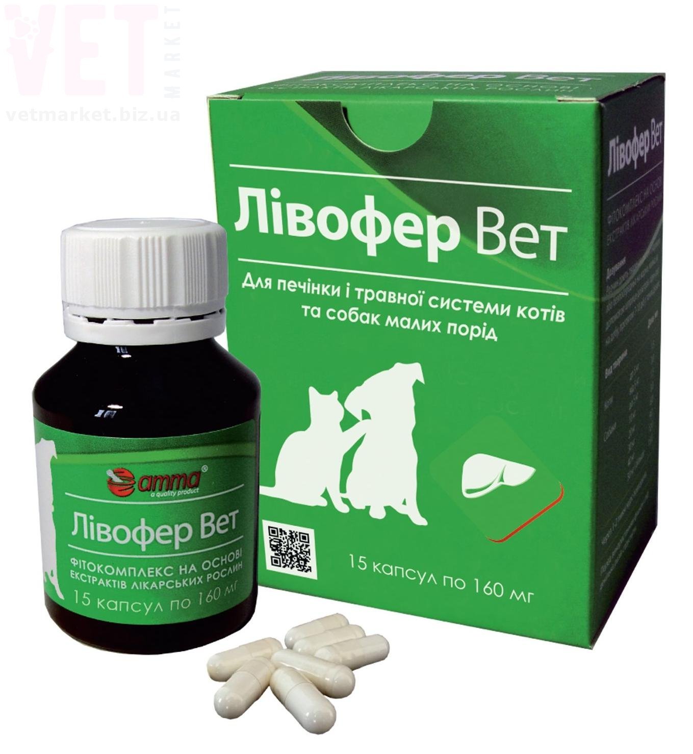 ������� ���, 15 ������, ���� ���� �������. Գ�����������, �������� ���������