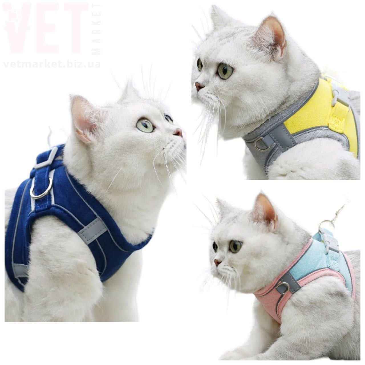 ���� � �������� 218-8 ����. ���