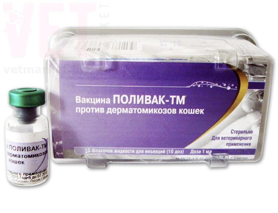 �����/�������-�� ������� ������ �������������� �����, 1 ����, ������. ����� / ����� � �����������