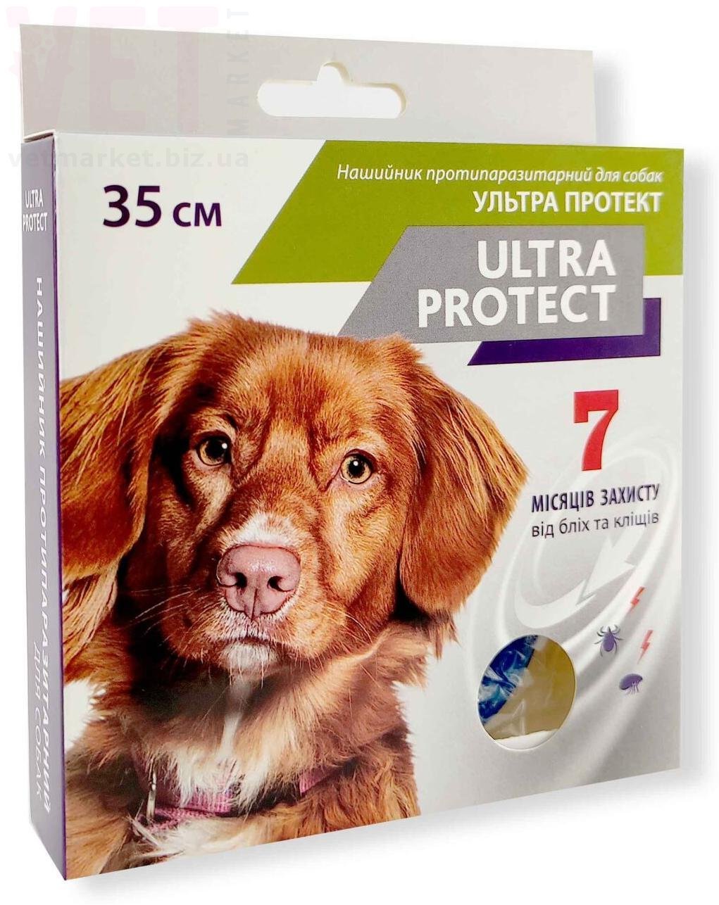 ������ ������� ������� ��� ����� (�����), 35 ��, �����������. ��������