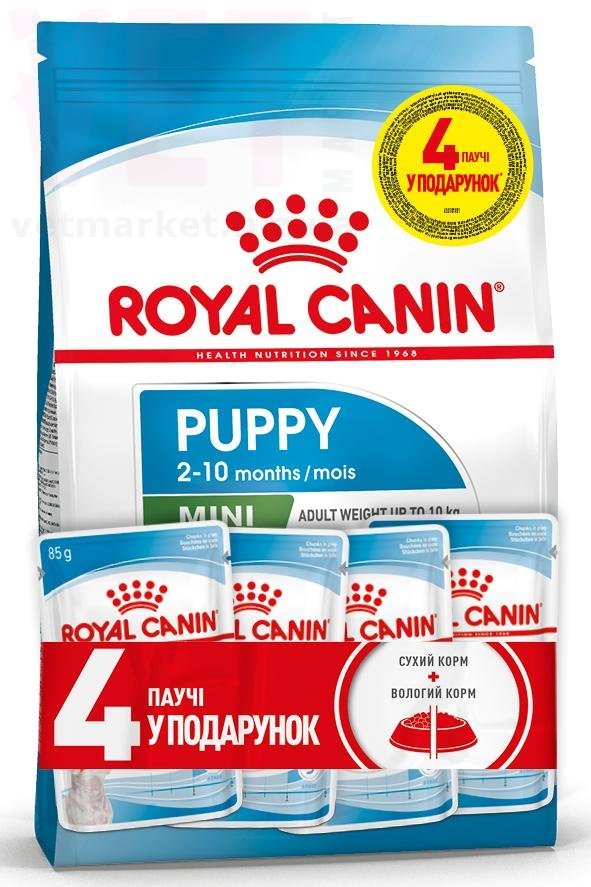 ���� ����� Mini Puppy, 2 �� + 4 �����. Mini (4-10 ��)