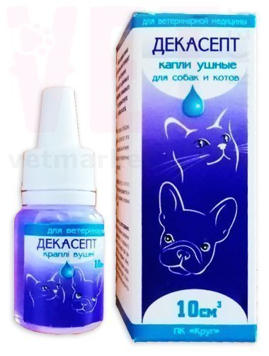 �������� �����, 10 ��, ����. ����� �����, ����, �������