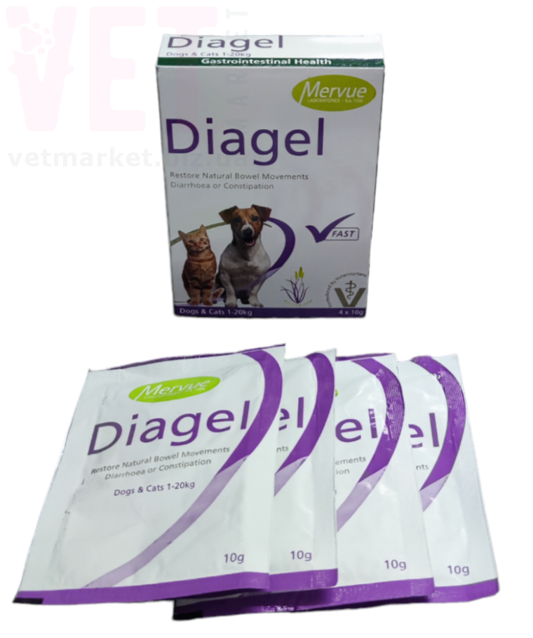 Mervue Diagel, 10 , Cymedica.  