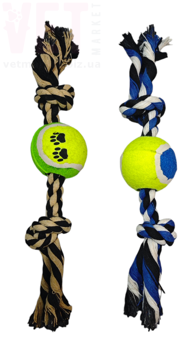 ������� 10-19 ��� ���� � ��������� �����. ��������