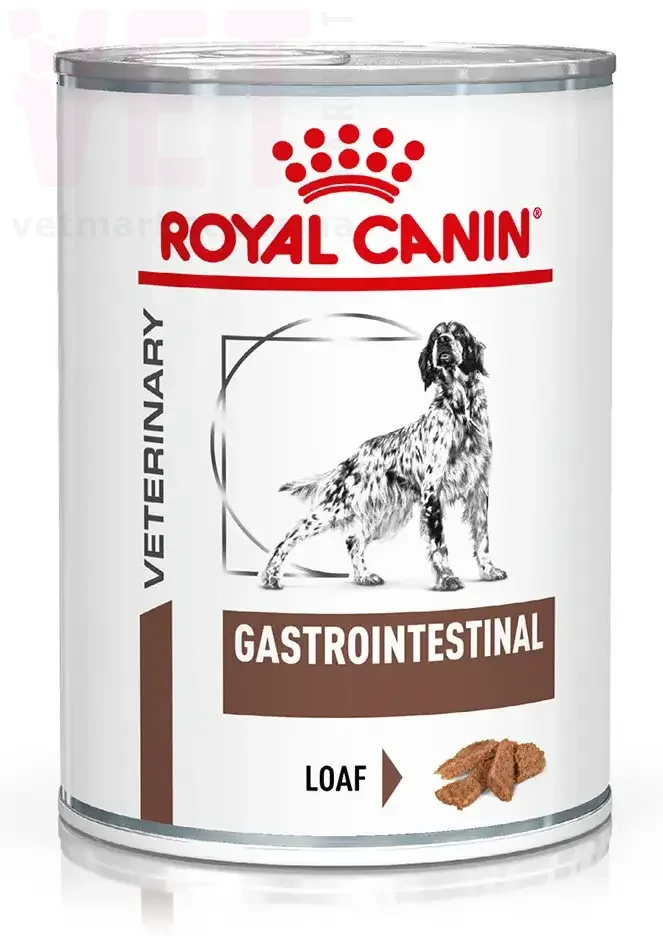   GastroIntestinal Dog (), 0,4 . Vet Diet Canine Wet -    