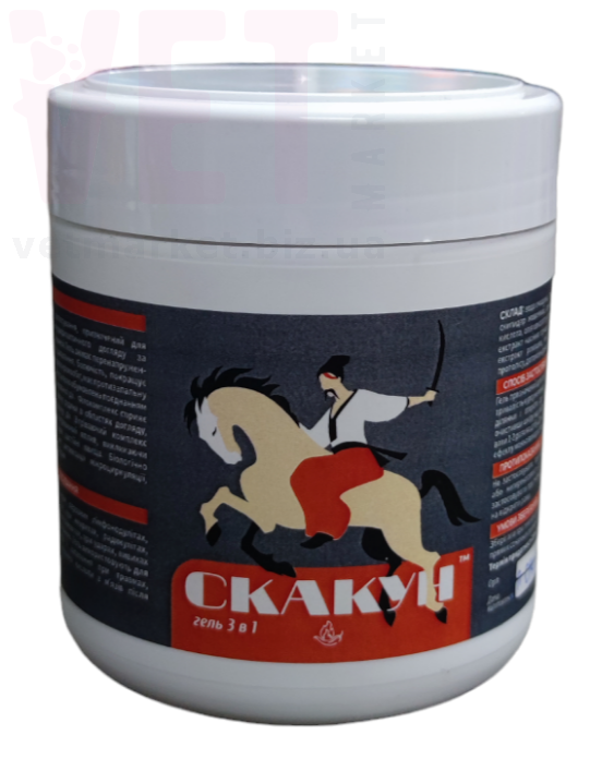 ���� ������ 3�1 � ������������ (�������), 450 ��, ����������. ������-������������ �������