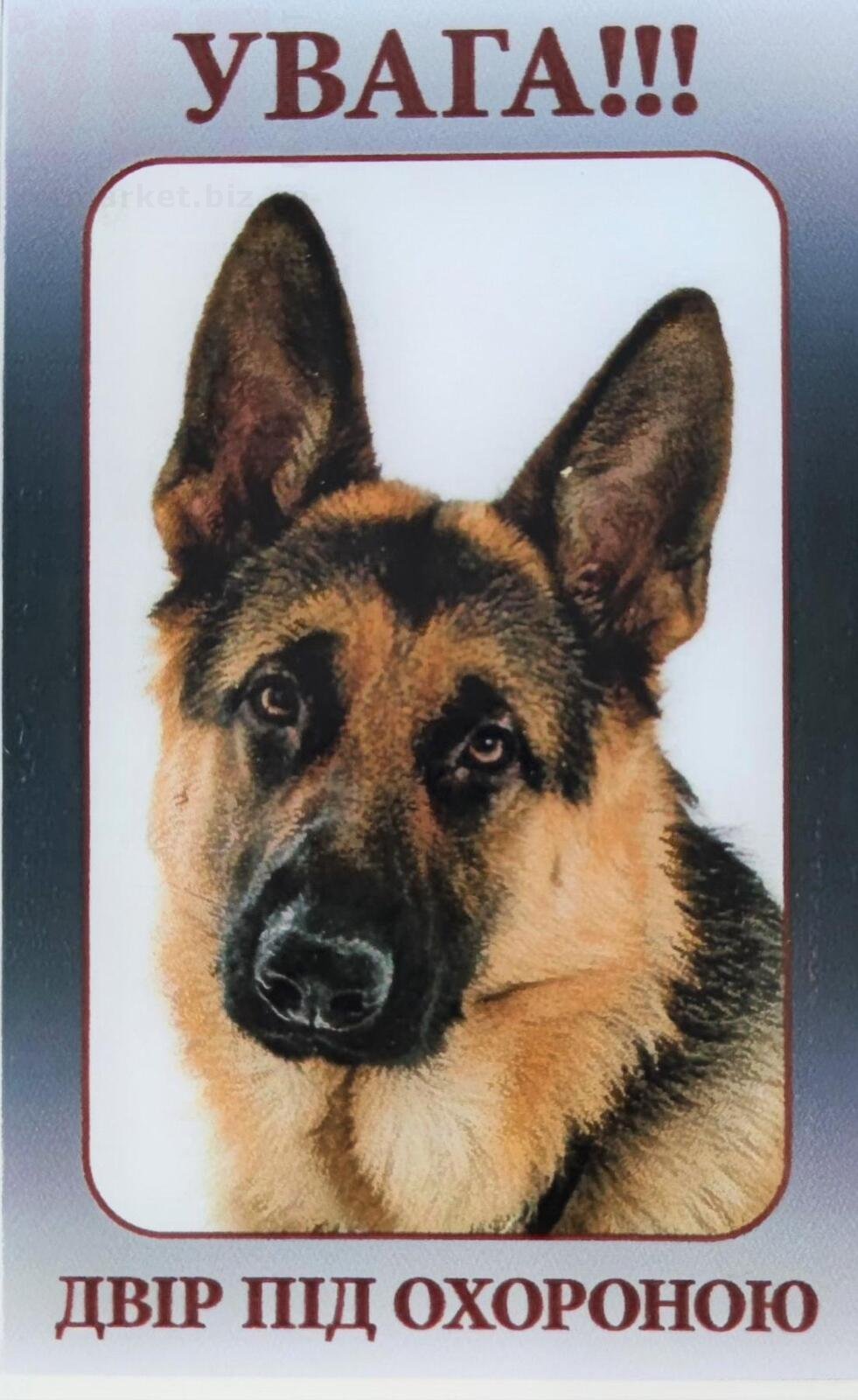 �����!!! ��i� �i� �������� (�i������ �i������). �������� ������� �� ������