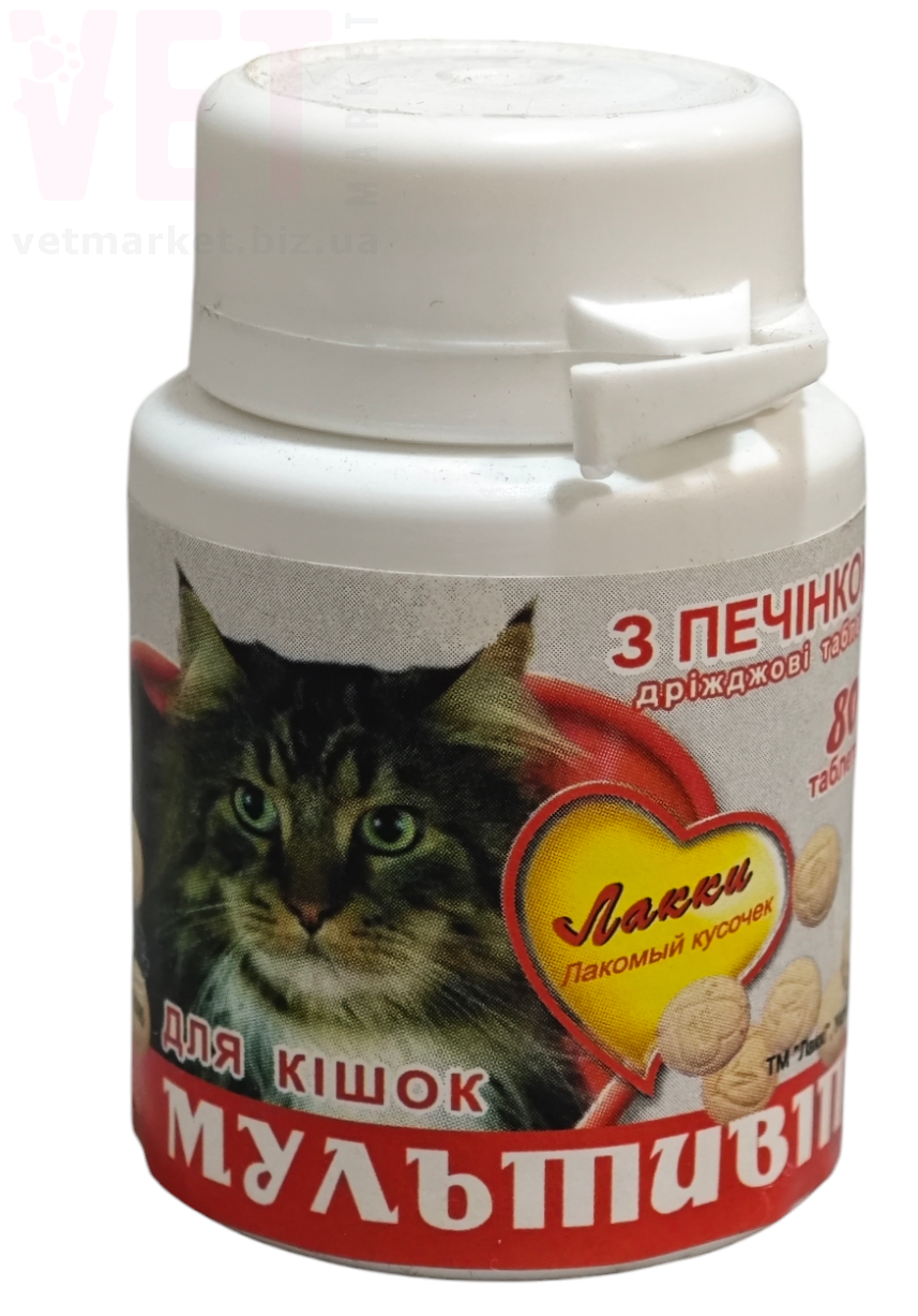 ����� ��������� ������, 80 ����.. ��� ����