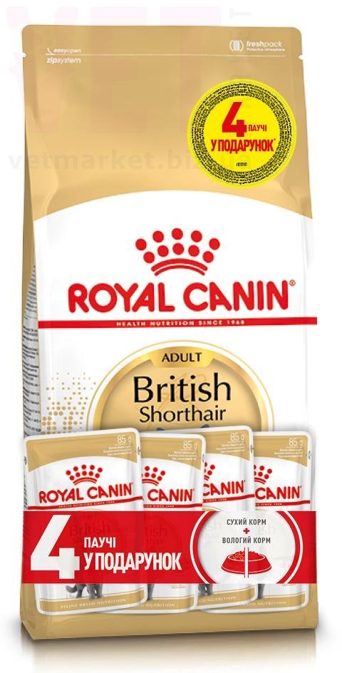 ���� ����� British Shorthair Adult, 2 �� + 4 �����. Feline Breed Nutrition - ������� � ������������ � �������