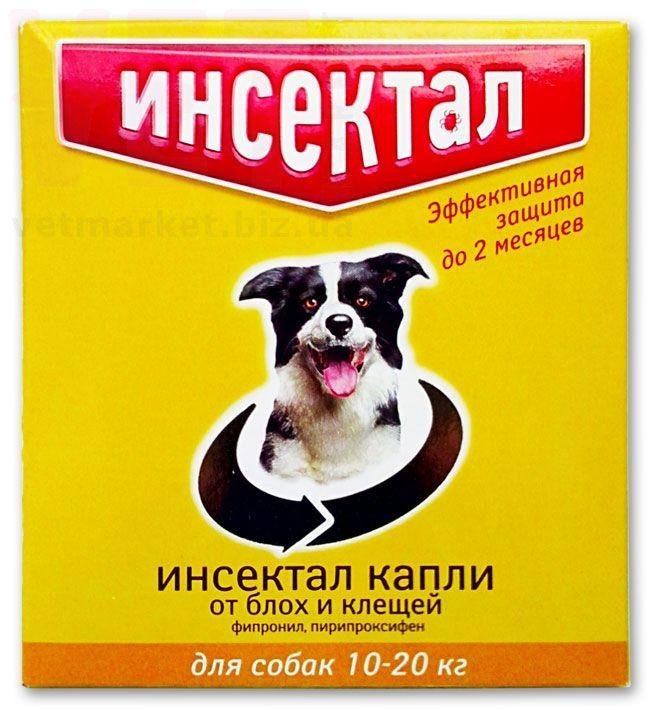 /        10-20 , 1 .*1,5 , .  /   